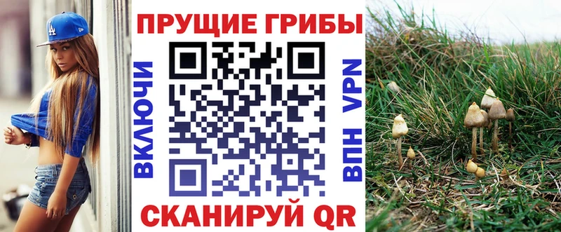 Галлюциногенные грибы GOLDEN TEACHER  Николаевск 